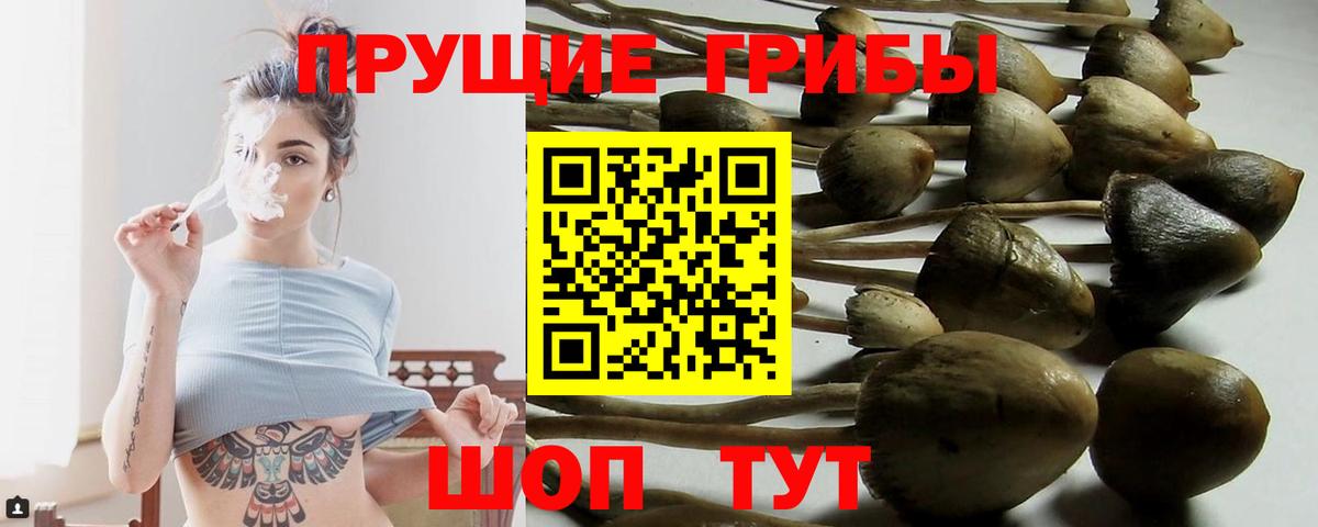 МЕТ  Cocaine  Меф МЯУ МЯУ   Корсаков  ГАШИШ  Вход с VPN  Гашиш  Бошки Шишки 